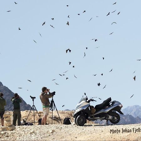 The Birdwatchers Nest Be'er Ora Buitenkant foto