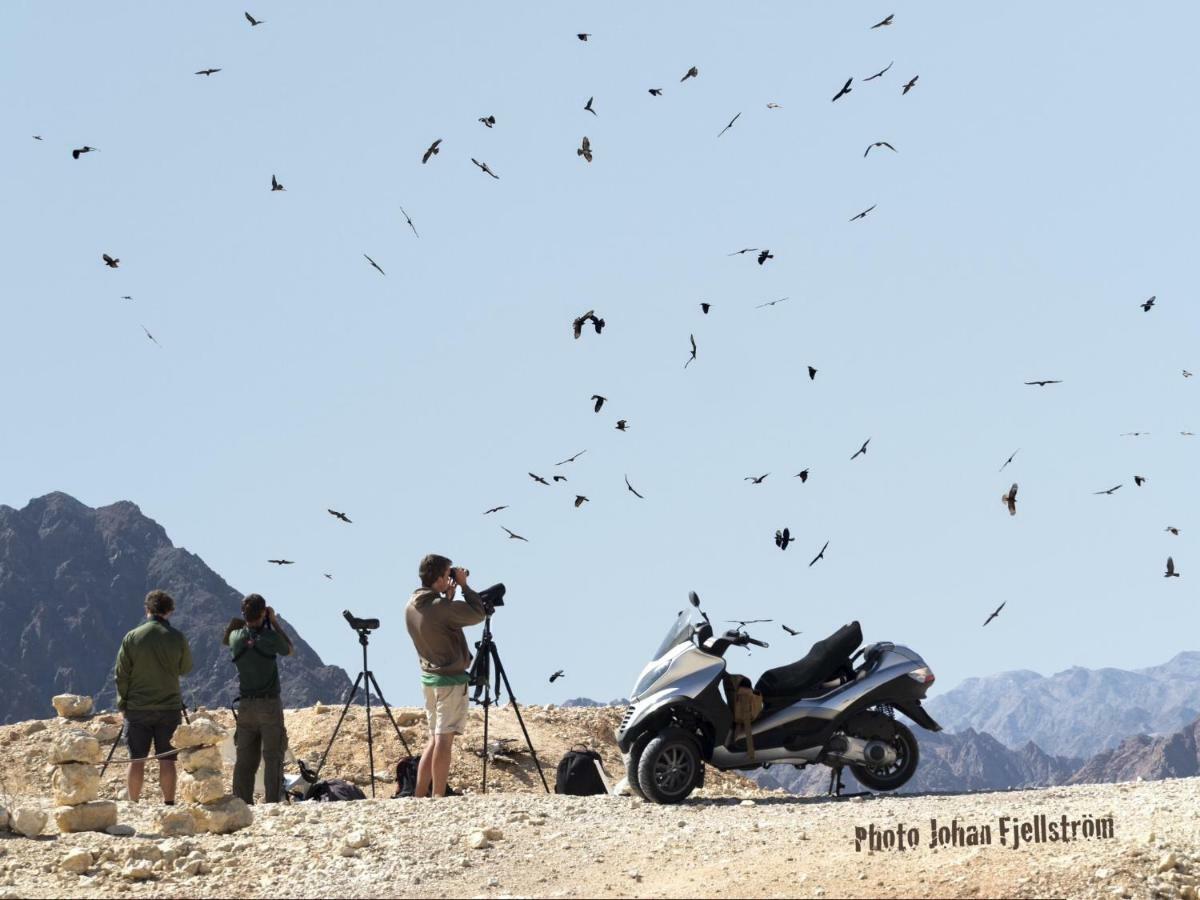 The Birdwatchers Nest Be'er Ora Buitenkant foto